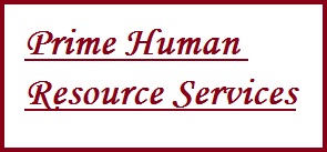 Prime Human Resource Services Jobs