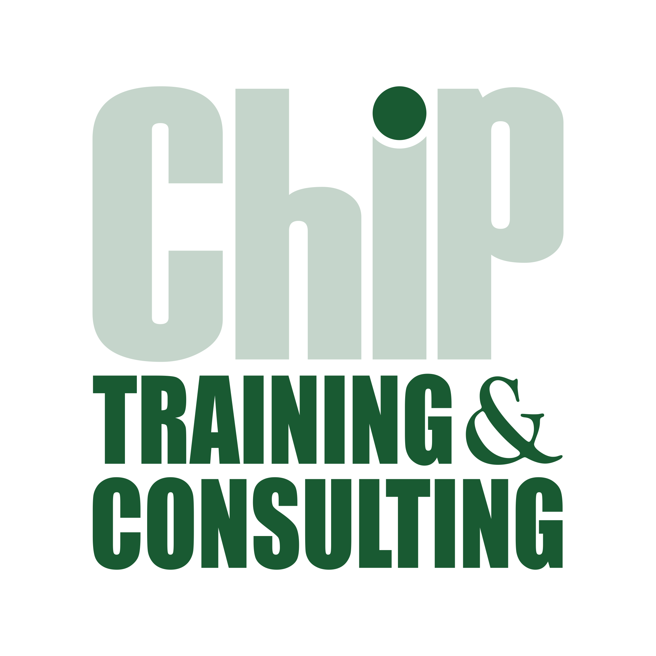 Chip Training & Consulting Private Limited Jobs