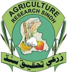 Agriculture Research Sindh Jobs