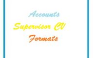 Accounts Supervisor CV Formats