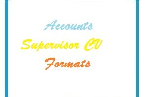 Accounts Supervisor CV Formats