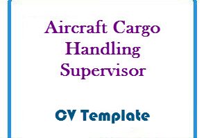 Aircraft Cargo Handling Supervisor CV Template