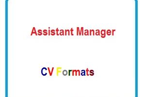 Assistant Manager CV Formats