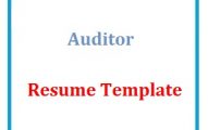 Auditor Resume Template