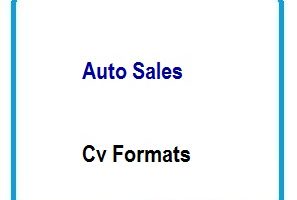 Auto Sales CV Formats