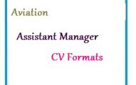 Aviation Assistant Manager CV Formats