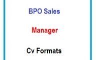 BPO Sales Manager CV Formats