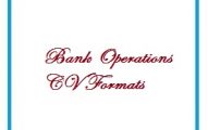 Bank Operations CV Formats