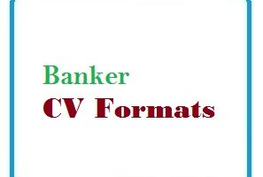 Banker CV Formats