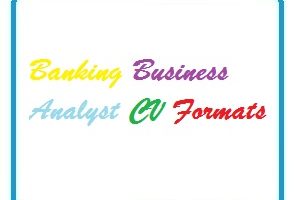 Banking Business Analyst CV Formats