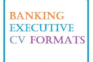 Banking Executive CV Formats