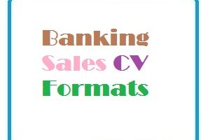 Banking Sales CV Formats