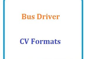 Bus Driver CV Formats