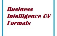 Business Intelligence CV Formats