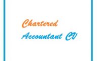 Chartered Accountant CV