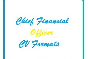 Chief Financial Officer CV Formats