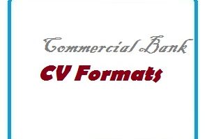 Commercial Bank CV Formats