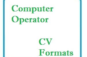 Computer Administrator CV Formats