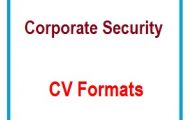 Corporate Security CV Formats