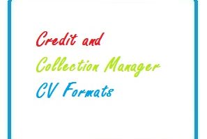 Credit and Collection Manager CV Formats