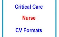 Critical Care Nurse CV Formats