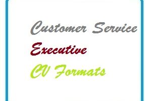 Customer Service Executive CV Formats