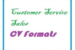 Customer Service Sales CV Formats