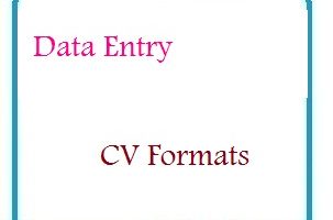 Data Entry CV Formats