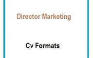 Direct marketing CV Formats