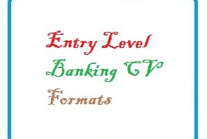 Entry Level Banking CV Formats