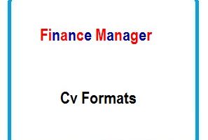 Finance Manager CV Formats