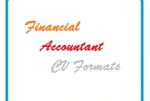 Financial Accountant CV Formats