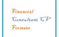 Financial Consultant CV Formats