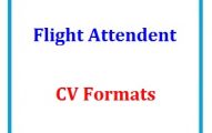 Flight Attendant CV Formats