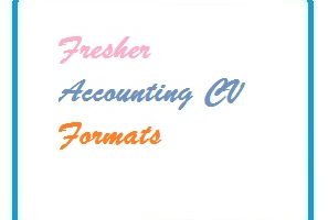 Fresher Accounting CV Formats