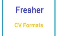 Fresher CV Formats