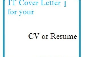 IT Cover Letter 1 for your CV or Resume