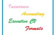 Insurance Accounting Executive CV Formats