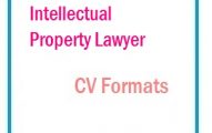 Intellectual Property Lawyer CV Formats