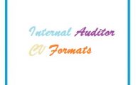 Internal Auditor CV Formats