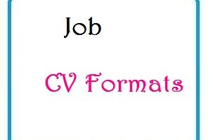 Job CV Formats