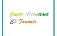 Junior Accountant CV Formats