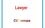 Lawyer CV Formats