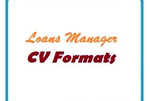 Loans Manager CV Formats
