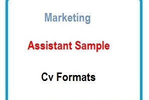 Marketing assistant sample CV Formats