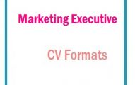 Marketing executive CV Formats