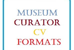 Museum Curator CV Formats