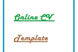 Online CV Template