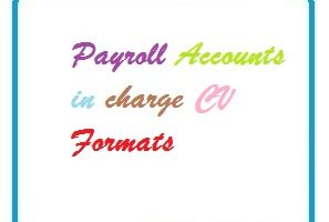 Payroll Accounts in charge CV Formats