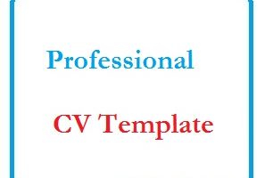 Professional CV Template
